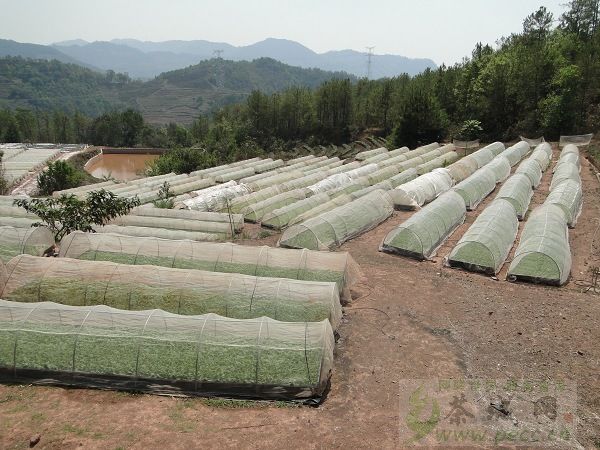 我公司塑料水窖为普洱墨江县抗旱工作助力