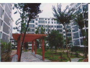 曲靖市云建房地产开发有限公司