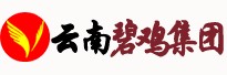 云南碧鸡建筑集团有限公司