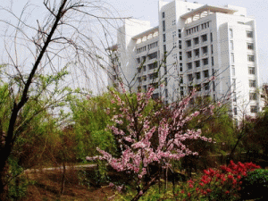 德宏州鸿宇建筑工程有限公司