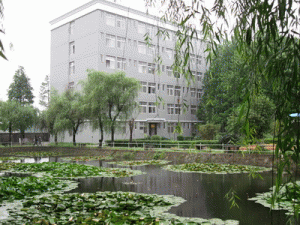 宾川兴隆建筑有限责任公司